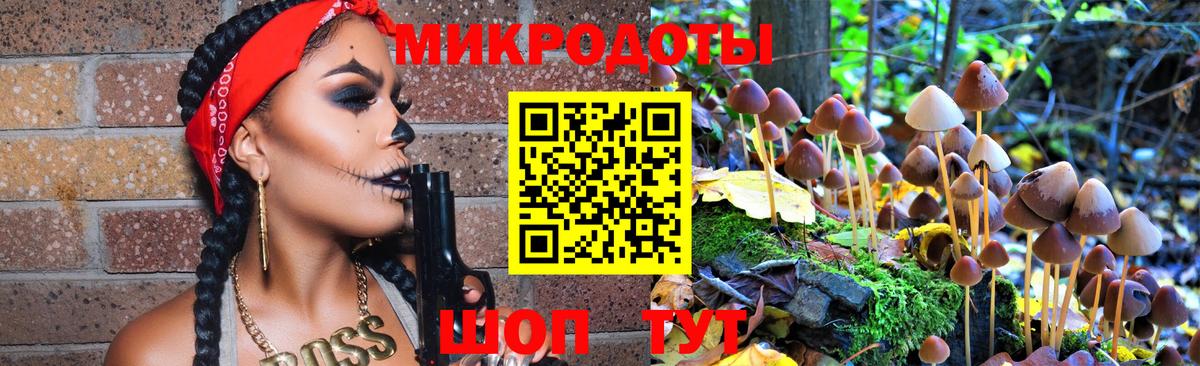 где купить наркотик  Вход с VPN  Галлюциногенные грибы Psilocybine cubensis  Южноуральск  Галлюциногенные грибы мицелий 