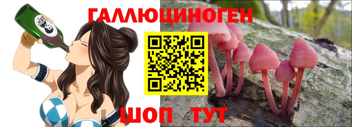 Псилоцибиновые грибы мицелий Южноуральск